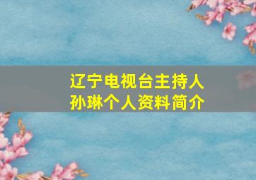 辽宁电视台主持人孙琳个人资料简介