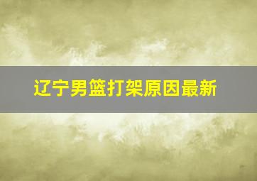 辽宁男篮打架原因最新