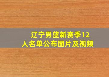 辽宁男篮新赛季12人名单公布图片及视频