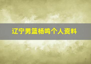 辽宁男篮杨鸣个人资料