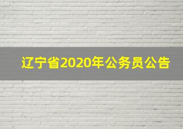 辽宁省2020年公务员公告