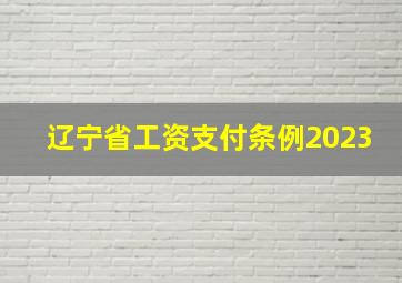 辽宁省工资支付条例2023