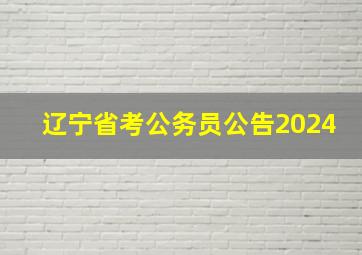 辽宁省考公务员公告2024