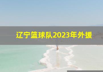 辽宁篮球队2023年外援