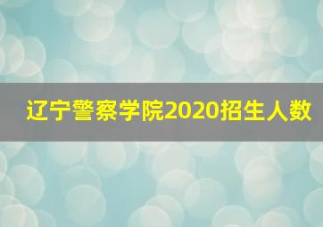 辽宁警察学院2020招生人数