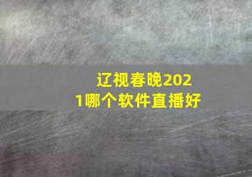 辽视春晚2021哪个软件直播好