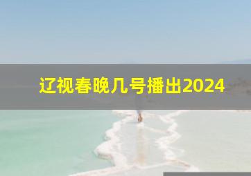 辽视春晚几号播出2024