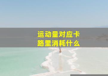 运动量对应卡路里消耗什么