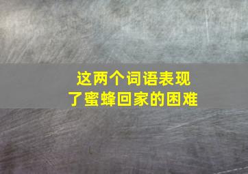 这两个词语表现了蜜蜂回家的困难