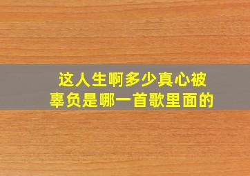 这人生啊多少真心被辜负是哪一首歌里面的