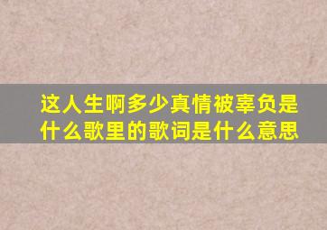 这人生啊多少真情被辜负是什么歌里的歌词是什么意思