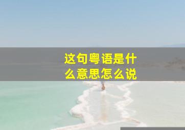 这句粤语是什么意思怎么说