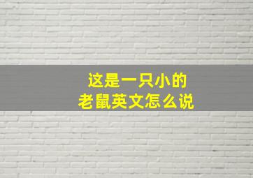 这是一只小的老鼠英文怎么说