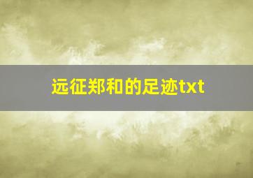 远征郑和的足迹txt