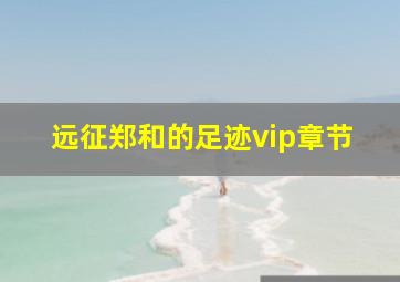 远征郑和的足迹vip章节