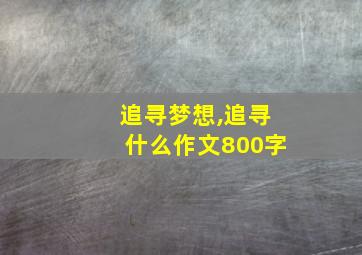 追寻梦想,追寻什么作文800字