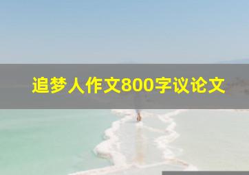 追梦人作文800字议论文