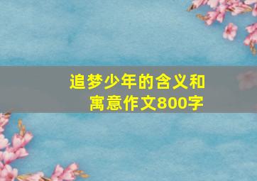 追梦少年的含义和寓意作文800字