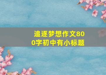 追逐梦想作文800字初中有小标题