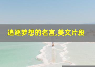 追逐梦想的名言,美文片段