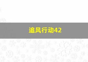 追风行动42