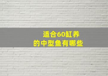 适合60缸养的中型鱼有哪些