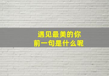 遇见最美的你前一句是什么呢