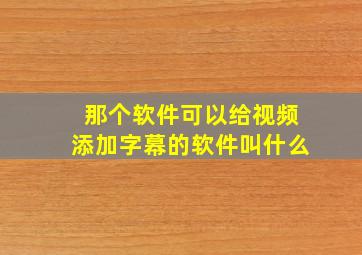 那个软件可以给视频添加字幕的软件叫什么