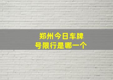 郑州今日车牌号限行是哪一个