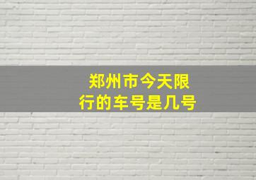 郑州市今天限行的车号是几号