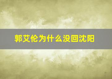 郭艾伦为什么没回沈阳