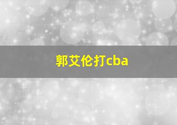 郭艾伦打cba