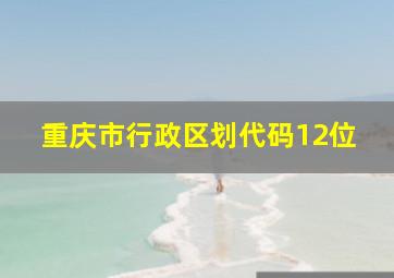 重庆市行政区划代码12位