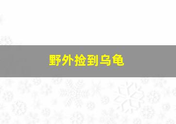 野外捡到乌龟