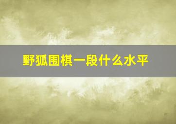 野狐围棋一段什么水平