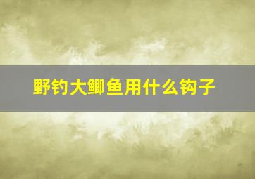 野钓大鲫鱼用什么钩子