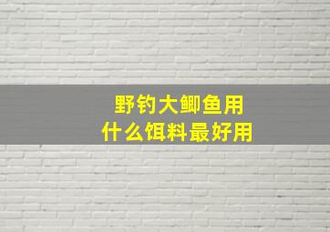 野钓大鲫鱼用什么饵料最好用