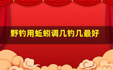 野钓用蚯蚓调几钓几最好