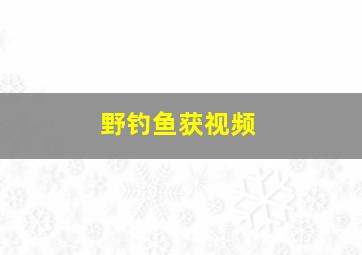 野钓鱼获视频