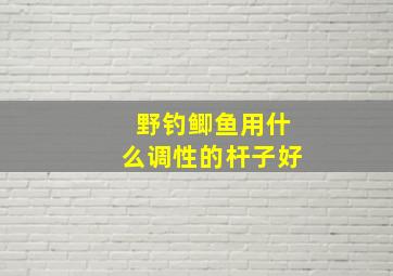 野钓鲫鱼用什么调性的杆子好