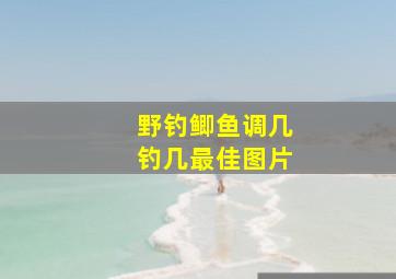 野钓鲫鱼调几钓几最佳图片