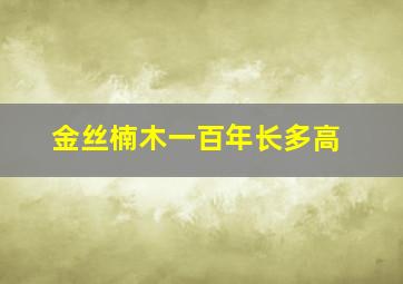 金丝楠木一百年长多高