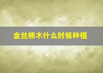 金丝楠木什么时候种植