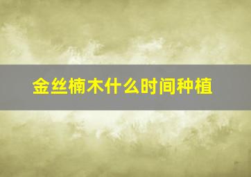 金丝楠木什么时间种植