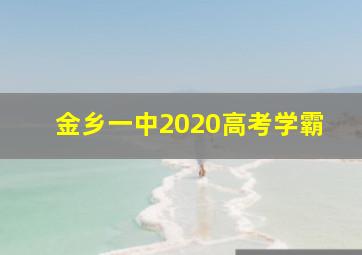 金乡一中2020高考学霸