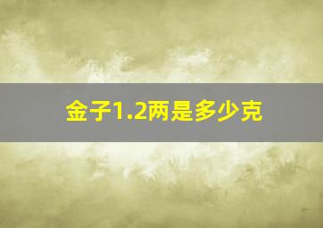 金子1.2两是多少克