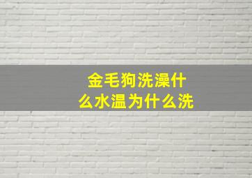 金毛狗洗澡什么水温为什么洗