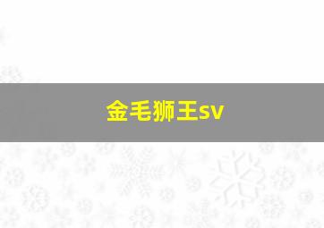 金毛狮王sv