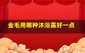 金毛用哪种沐浴露好一点