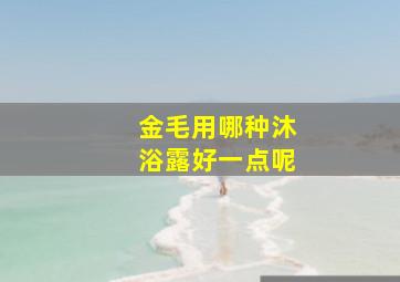 金毛用哪种沐浴露好一点呢